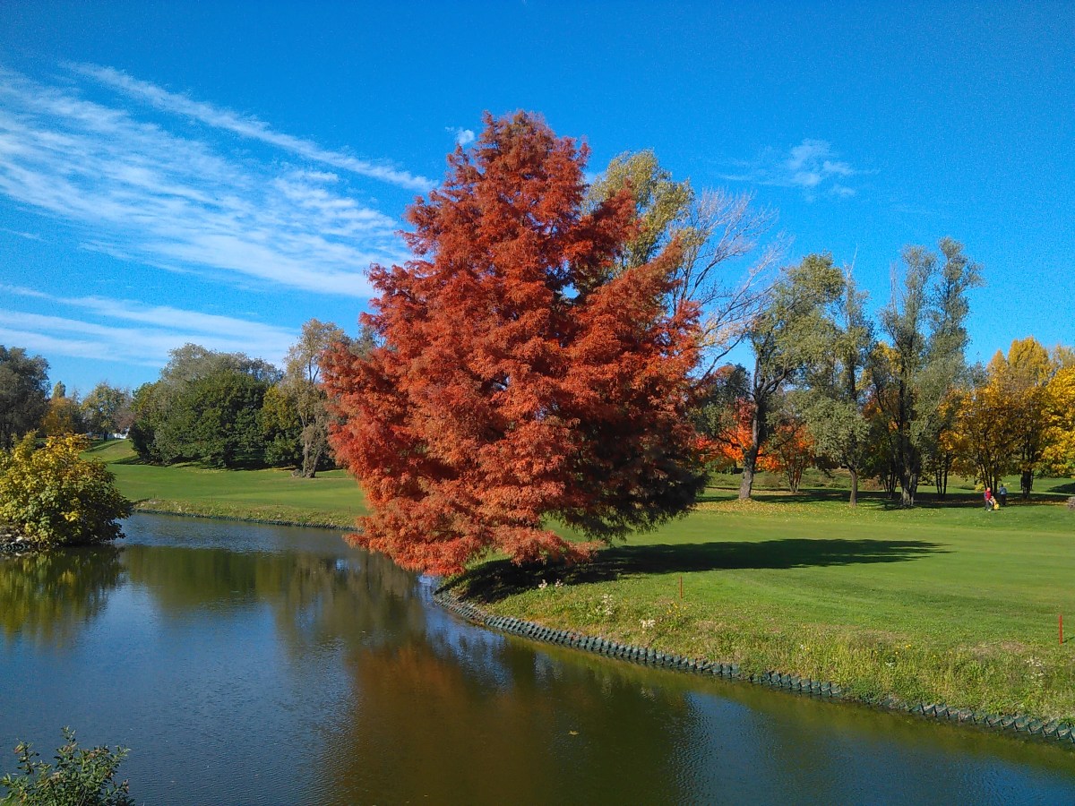 VIENI A GIOCARE AL GOLF&nbsp;BRIANZA